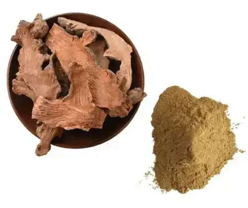 A dried root sliced into a bowl beside its extract powder