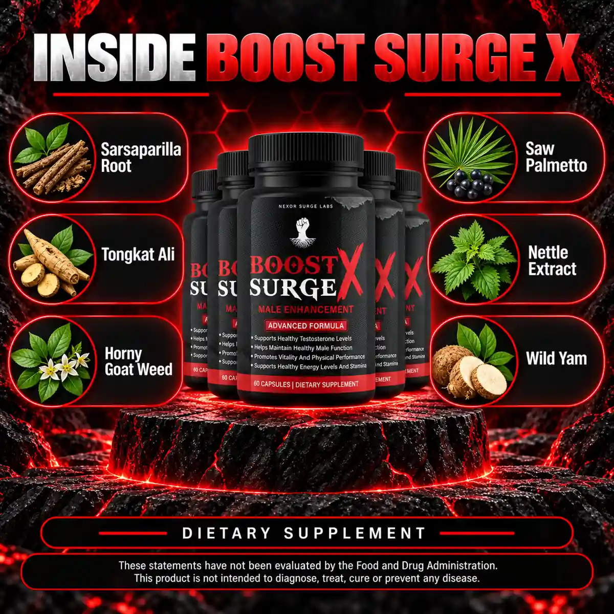 The manufacturer's Inside Boost Surge X panel naming six botanicals