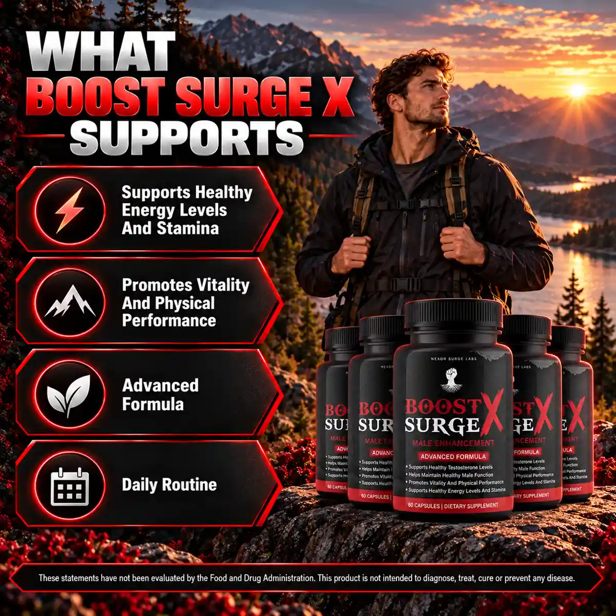 The manufacturer's panel listing the support claims for Boost Surge X